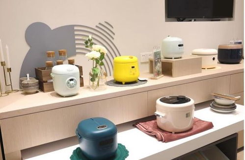 失去了年輕人的寵愛，小家電行業(yè)該如何破局？