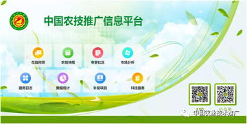 互聯網 農技推廣 服務 三農 全天候